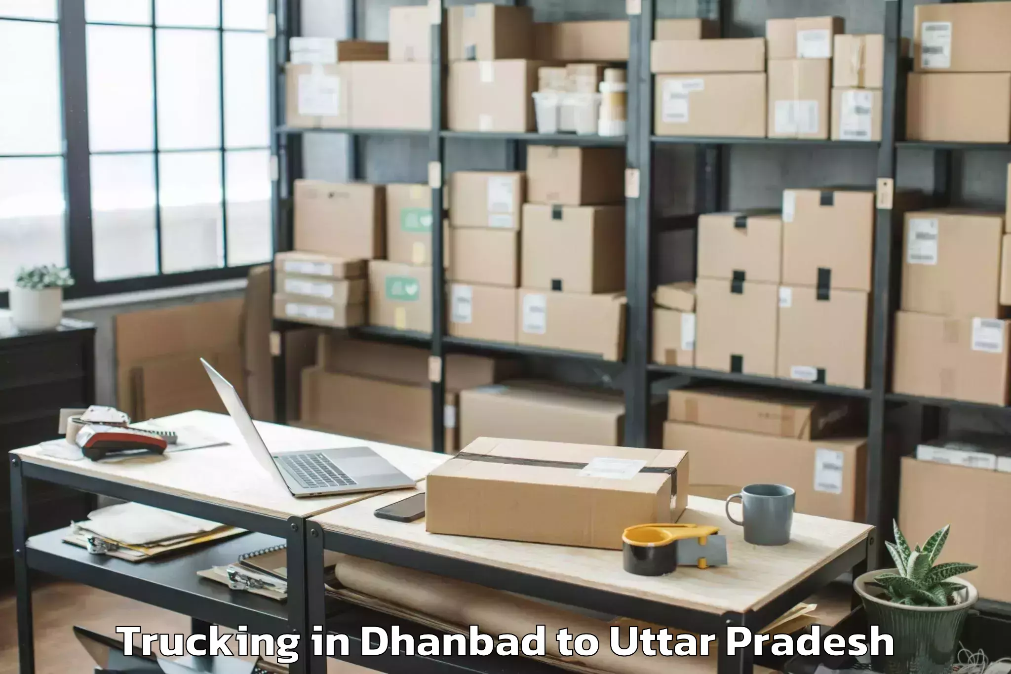 Hassle-Free Dhanbad to Abhilashi University Aligarh Trucking